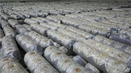 山陽、商南6個重點項目接受全市&ldquo;檢閱&rdquo;